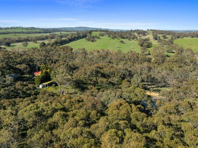 310 Dockerys Road, Tallarook