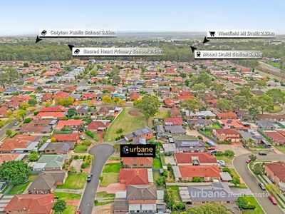 20 Tiffany Place, Rooty Hill