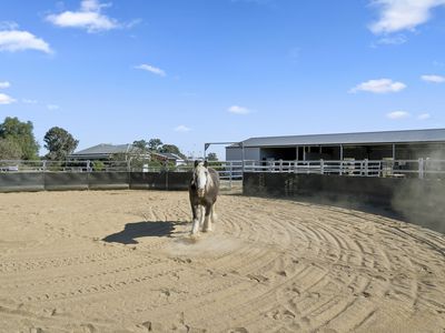 353 Lyons Road, Tarrawingee