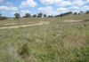 Lot 101, 2187 Euchareena Road, Molong
