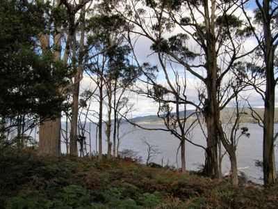Lot 3, 3 / 270 Cygnet Coast Road, Lymington