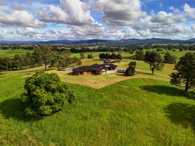 Wingham