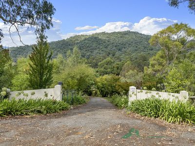 169 Simmonds Creek Road, Tawonga South
