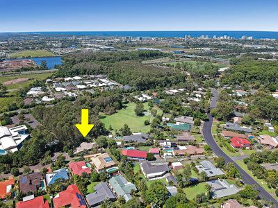 20 Peter Court, Buderim
