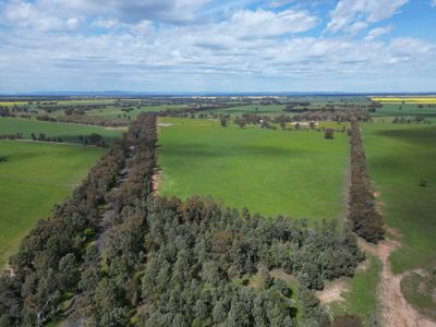 'Burnside' 1009 Howlong-Balldale Road, Balldale