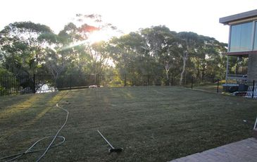 46 Tunstall Ave, Kensington