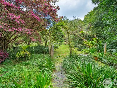 Share 8 / 358 Burringbar Road, Upper Burringbar