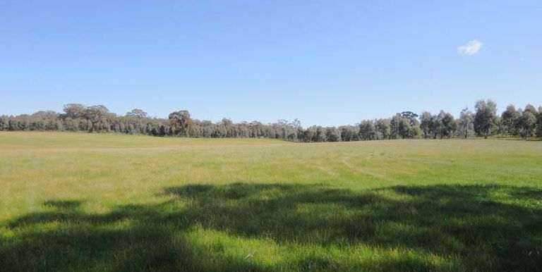 Paynters Road, Violet Town