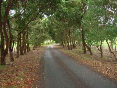 Lot 50 Mount Percy Road, Mount Gambier