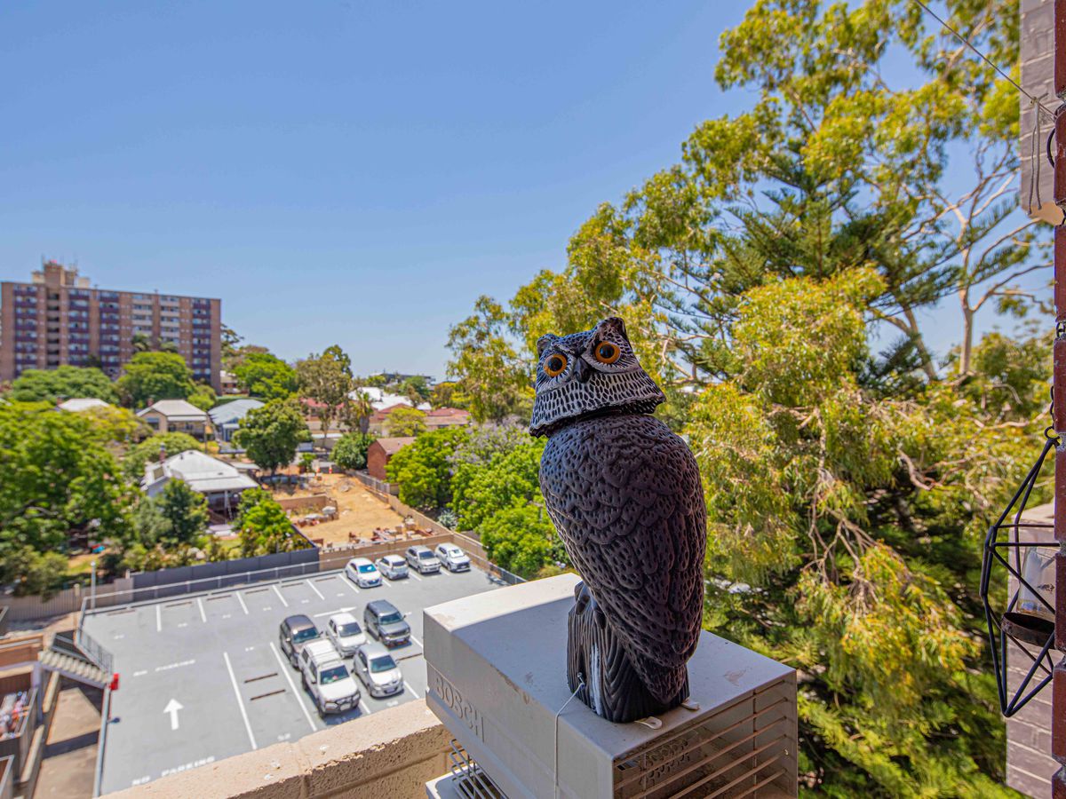 65 / 12 Tenth Avenue, Maylands