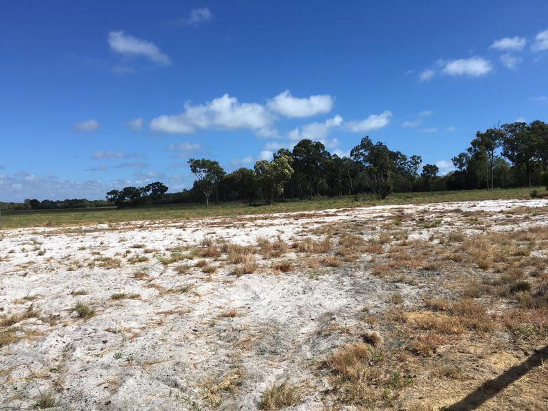 LOT / 11 Oriole Court, Woodgate