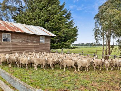 283 Grahams Road, Lancefield