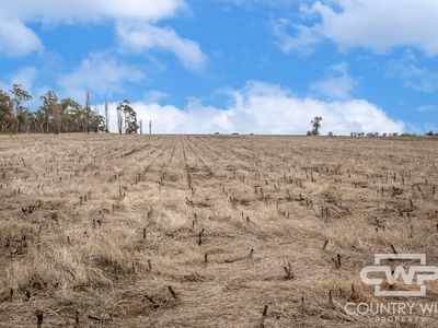 Lot Plain View South, 916 Emmaville Road, Glen Innes