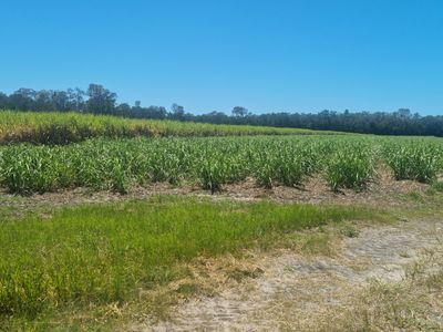 1587 Stapylton Jacobs Well Road, Jacobs Well