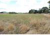 676 Cadia Road, Orange