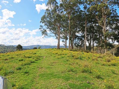 159 Wards Creek Road, Krambach