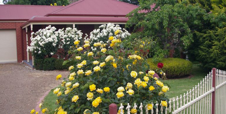 55 Mansfield Road, Euroa