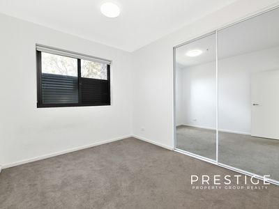 16 / 40 Shadforth, Wiley Park