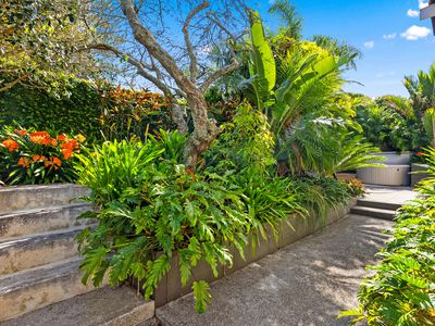 1A Park Avenue, Takapuna