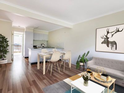 5 / 31 Baden Powell Street, Maroochydore