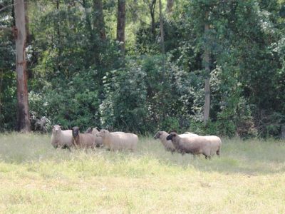 1433 Moss Vale Rd, Kangaroo Valley