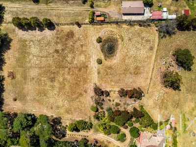 236 Tea Tree Road, Brighton
