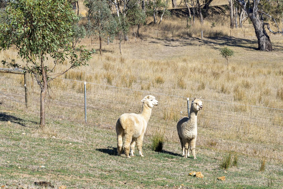 25 Lockharts Road, Bonnie Doon