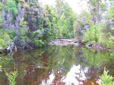 7736 Huon Highway, Strathblane