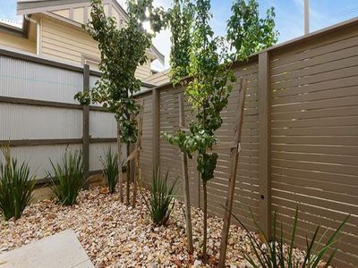 5 / 436 Ryrie Street, East Geelong