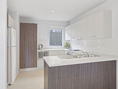 17 Amphora Dr, Balcolyn