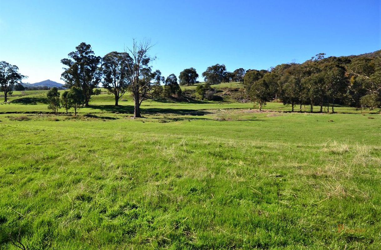 315 Mount Samaria Road, Samaria Clark & Co Real Estate