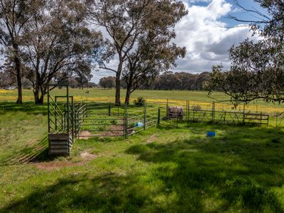Lot 33, 36 & 36A, Walsh Road, Carlyle