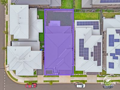 6 Boab Street , Marsden Park