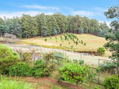 48 Arthurs Road, Pelverata