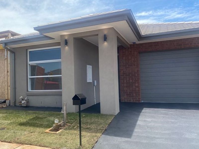 24 Rice Flower, Strathtulloh