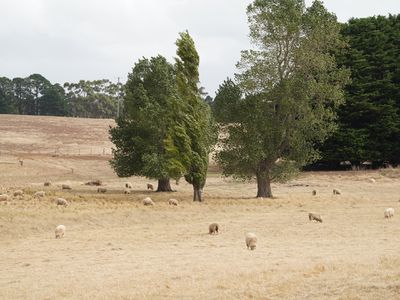 541 West Schultz Road, Tarrington