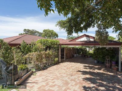 27 Norkus Way, Willagee