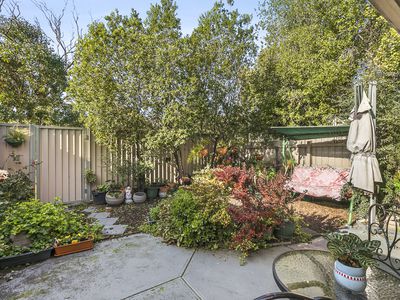 14B  Collier Place, Strathmore Heights