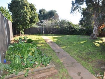 13 Brigalow Avenue, Dubbo