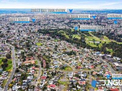 119 Townview Road, Mount Pritchard