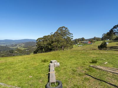 149 Missing Link Road, Wattle Grove