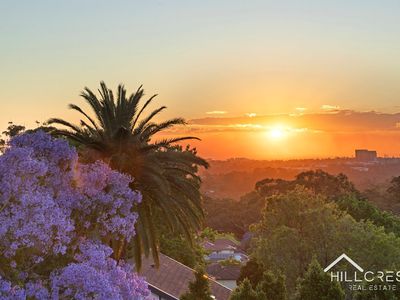 48/15-17 Corona Avenue, Roseville