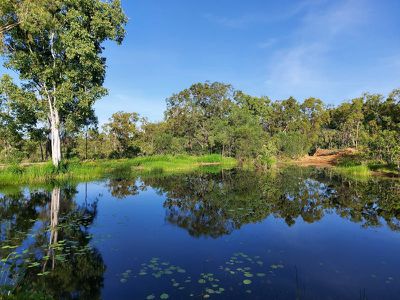2554 Mulligan Highway Road, Cooktown