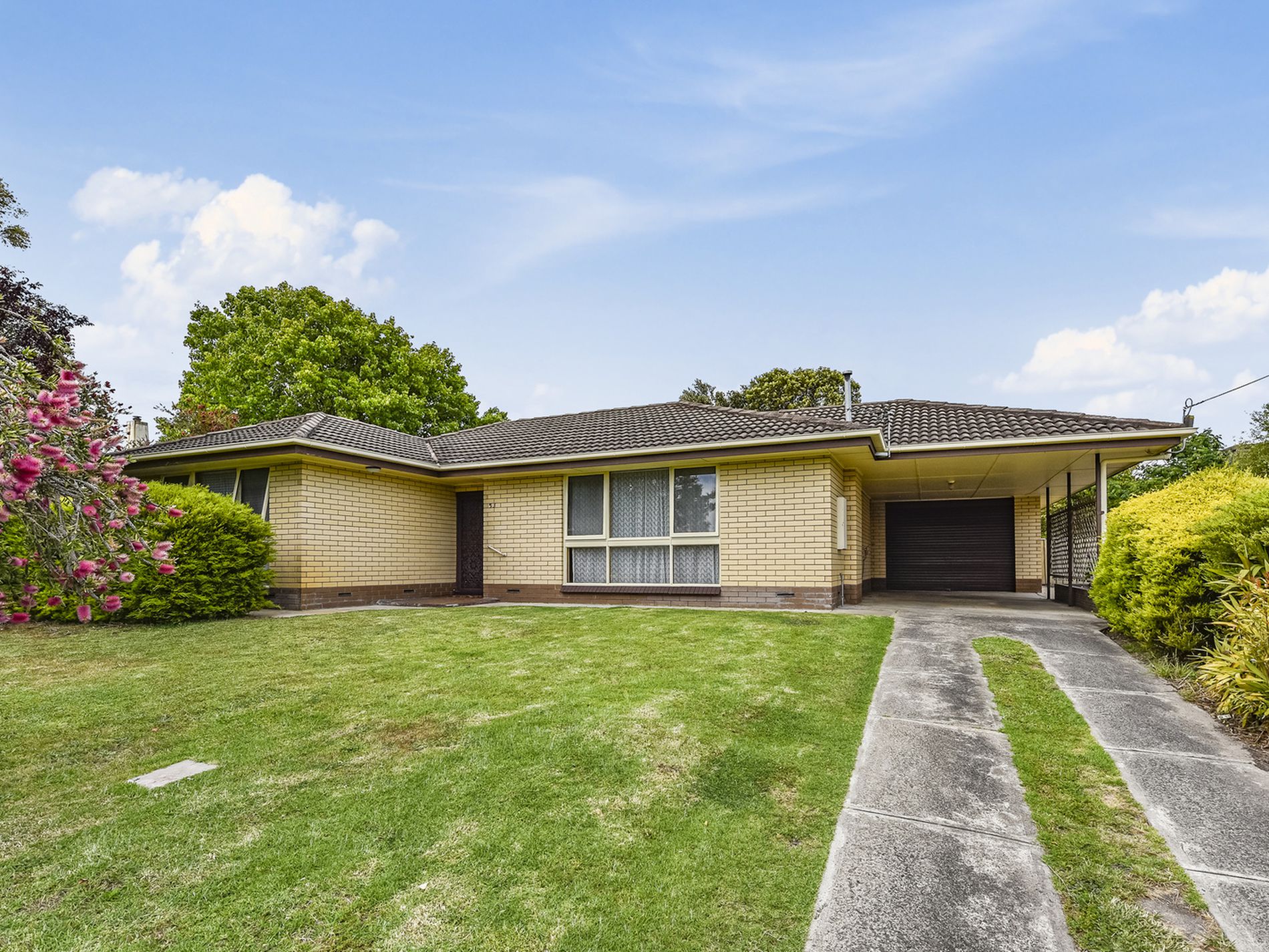 53 Williams Road, Millicent