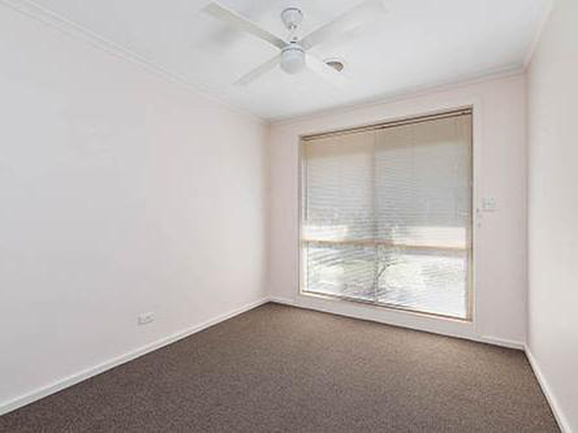 20 Roclin Avenue, Newton