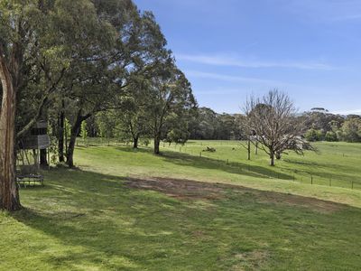 41 Vinnicombes Road, Romsey