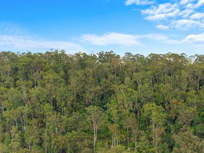 362 Boundary Creek Road, Bentley