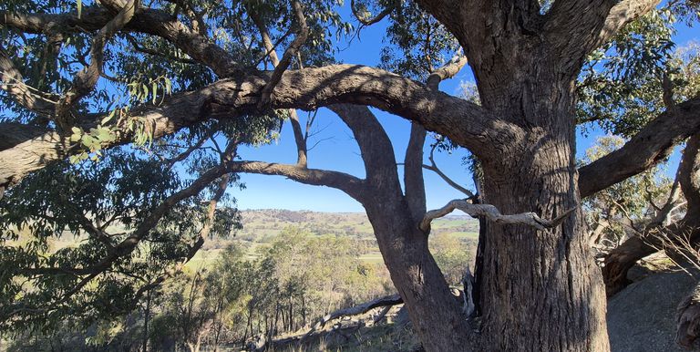 122 Delatite County, Gooram