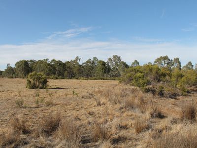 Lot 5, Davis Road, Mount Camel