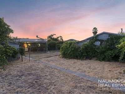 58 Carcoola Street, Nollamara